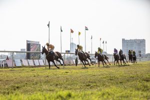 Official Best Odds for Horse Racing Live: Pro Tips to Win in India (2026)