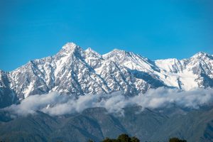 Netbanking Top Cricket Betting Apps In India Review 2026: Bonus, App, Withdrawal Tested